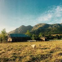 The view of the sanctuary from afar at Farm Sanctuary SA in Franschhoek