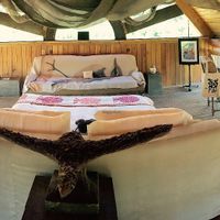 Chick loft apartment space at Farm Sanctuary SA in Franschhoek