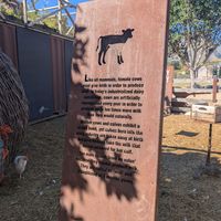  at Farm Sanctuary SA in Franschhoek