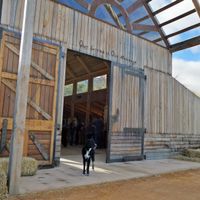 Farm Sanctuary SA
  at Farm Sanctuary SA in Franschhoek