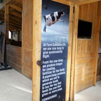 Farm Sanctuary SA
  at Farm Sanctuary SA in Franschhoek