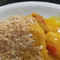  at Congolinaria - Alfonso Bovero in Sao Paulo