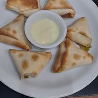  at Congolinaria - Alfonso Bovero in Sao Paulo