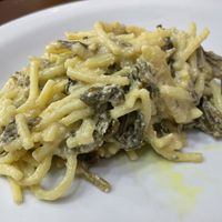   at Congolinaria - Alfonso Bovero in Sao Paulo