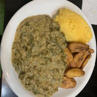   at Congolinaria - Alfonso Bovero in Sao Paulo