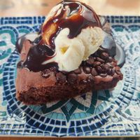 Brownie at El Manglar in Oviedo