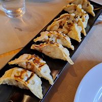 Gyozas at El Manglar in Oviedo