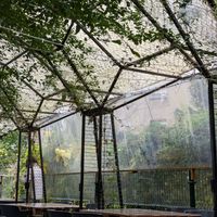  at El Manglar in Oviedo