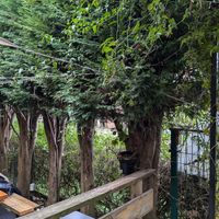  at El Manglar in Oviedo