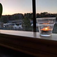 Beautiful setting for a meal at Frontier Cafe in Brunswick