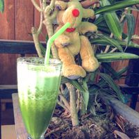 Sensational Smoothies at Blend in Siem Reap