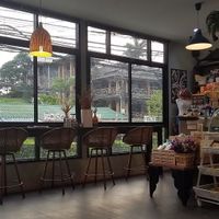 Counter, window view at Coco Mango in Koh Chang