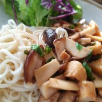 Udon vegan mushroom pad kra pao at Coco Mango in Koh Chang