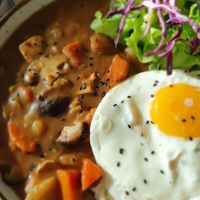 not vegan curry at Coco Mango in Koh Chang