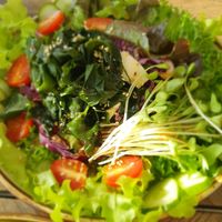 tofu salad at Coco Mango in Koh Chang