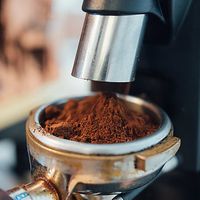 Phil and Sebastian's Coffee at The Heart Cafe in Bragg Creek