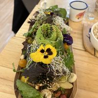   at Vida Vegan Bistro in Cusco