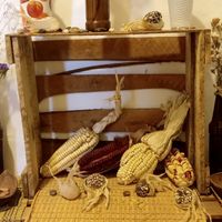  at Vida Vegan Bistro in Cusco