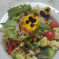  at Vida Vegan Bistro in Cusco