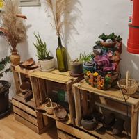  at Vida Vegan Bistro in Cusco