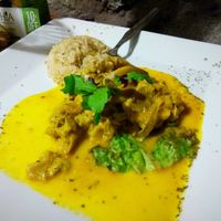 Mushrooms, potatoes and rice.  at Vida Vegan Bistro in Cusco