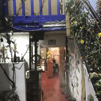 El espacio  at Vida Vegan Bistro in Cusco