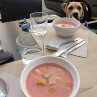  at Beganbai in Vitoria Gasteiz