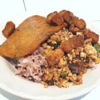 Rice, tofu and soy protein at Ranahat Je Vegan Restaurant in Ayutthaya