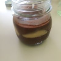 Chocolate dessert at Yerbabuena - Hileras in Madrid