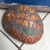 Welcome home at Apu Organic Nativo in Pisac