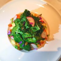 Herbal Salad - basic goodness 😋🥗 at Plant Cafe in Hamala