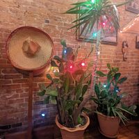  at Louisa's Mexican Grill in Geneva