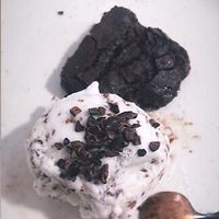 Melhor sobremesa: brownie com sorvete de flocos  at Raposa Vegana in Cuiaba