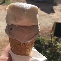 delicious. tried the vegan salted caramel and cookies and cream. great value too at Stripey Sundae in Nicholls