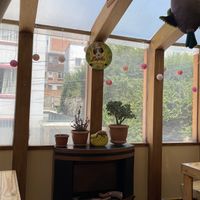   at Lupito Cocina Vegana in La Paz