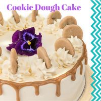 Cookie Dough Cake [vegan & nut free] at Vege Rama - Westfield Carindale  in Carindale
