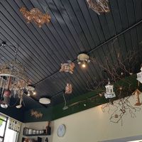 Ceiling at Momo Cafe in South West London