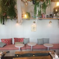 Hanging plants make for a relaxing interior  at Arapina in South East London