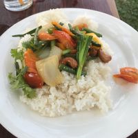 Thai Rice at Thai Fire in Kampot