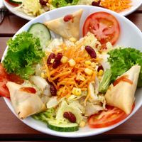 Salad “Samosa”  at 3reak in Aalen