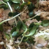 Peace Bowl at Good Choice Kitchen in Ossining