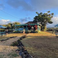 The building  at Little Fish Coffee in Koloa