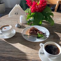  at Bohemia Cafe in Havana