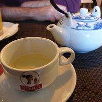 fennel tea at Bruta Flor in Lisbon