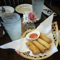 Crispy spring rolls, vegetatble at Thailicious in Southlake