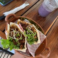   at Fresco Habito in Playa Del Carmen