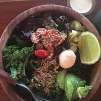 Build Your Own Bowl at Fresco Habito in Playa Del Carmen