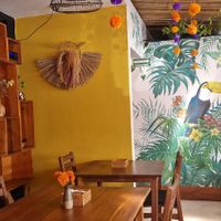  at Fresco Habito in Playa Del Carmen