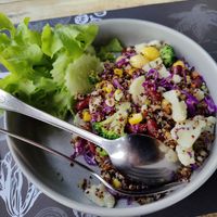Quinoa bowl at O-OH Farm Suanluang in Phuket