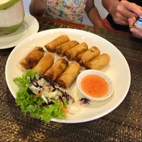 spring rolls  at Yo Vegan in Phuket